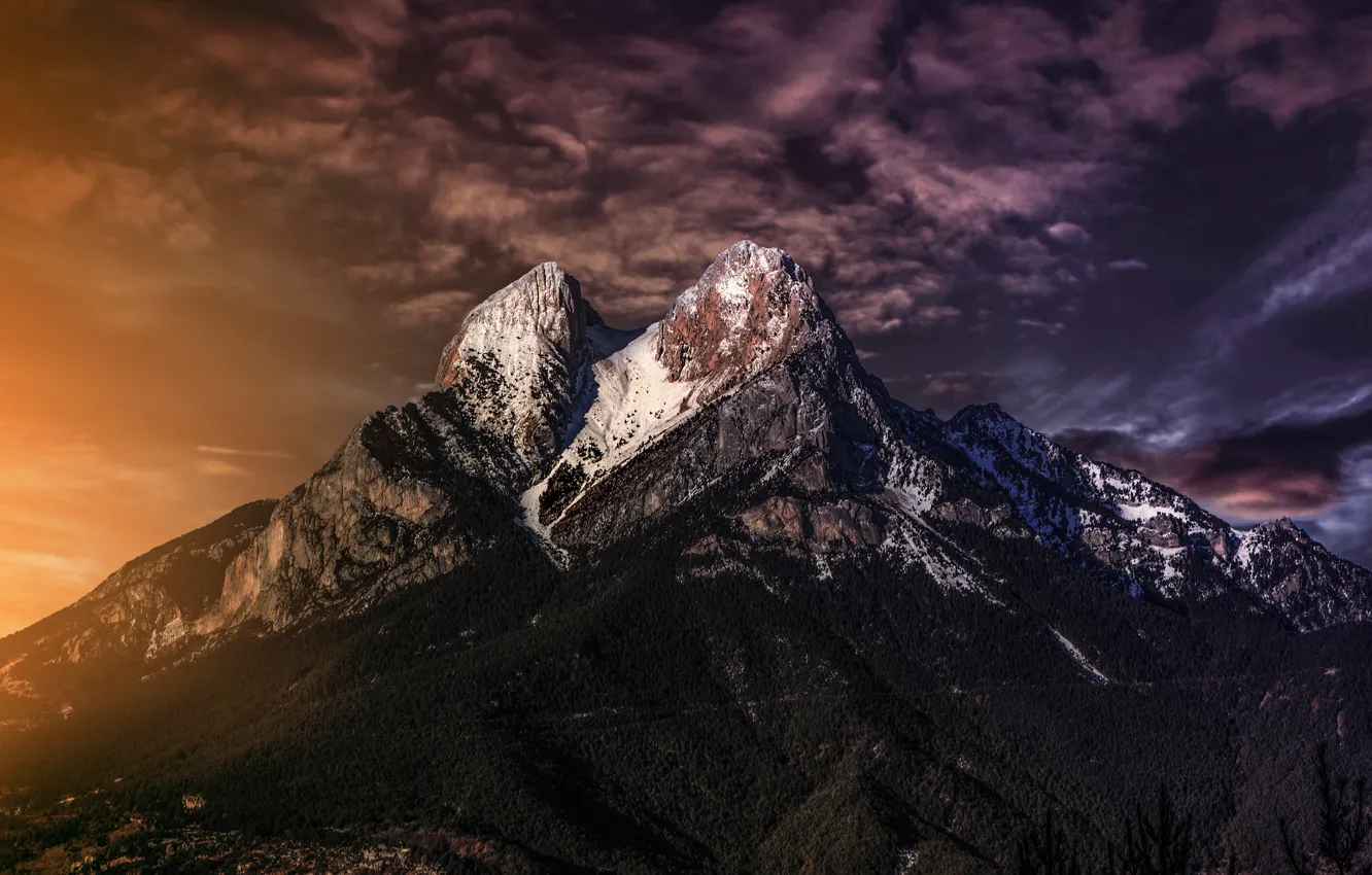 Photo wallpaper forest, the sky, clouds, light, sunset, mountains, rendering, tops