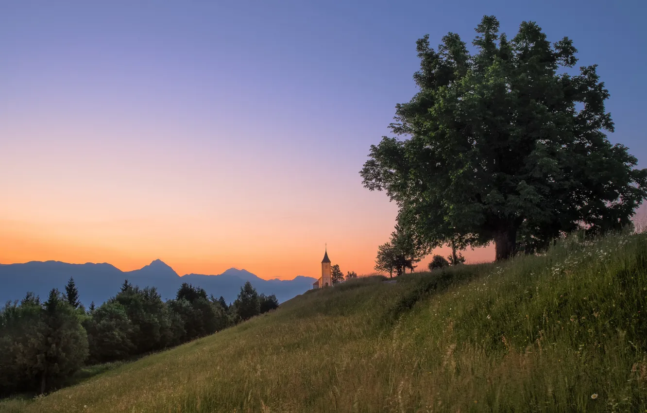 Photo wallpaper grass, twilight, sunset, mountains, tree, hill, dusk, Slovenia