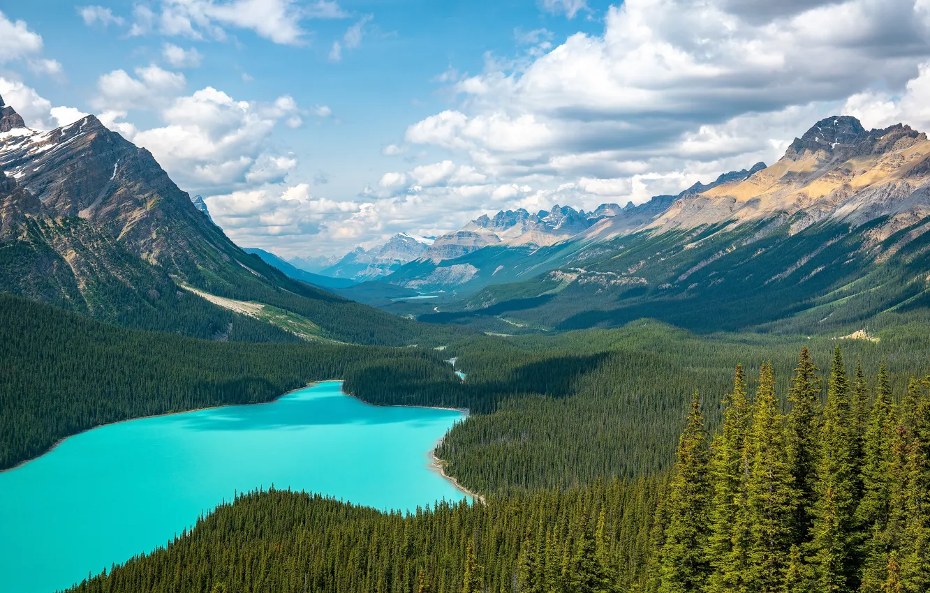 Photo wallpaper forest, mountains, lake, blue, shore, view, ate, Canada