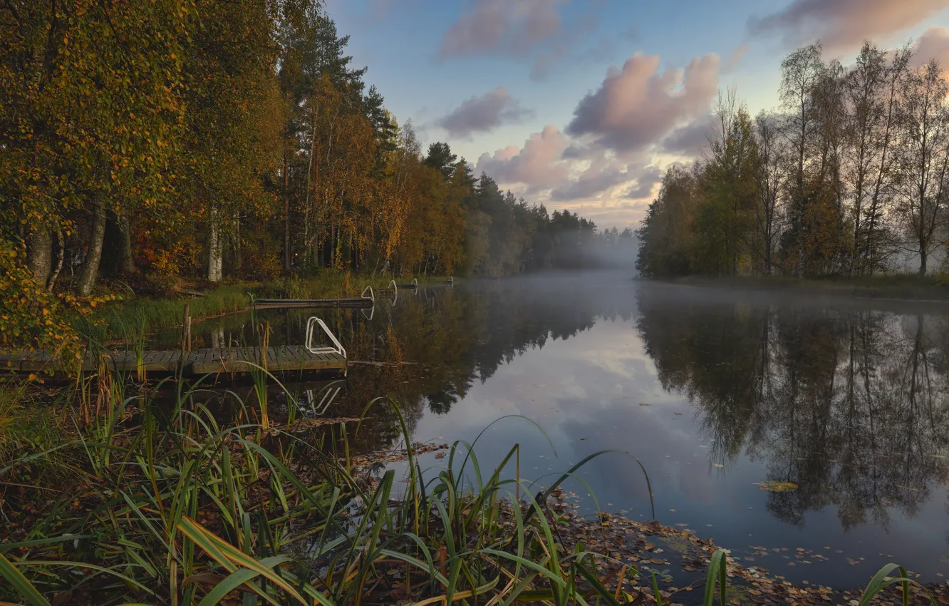 Photo wallpaper autumn, forest, landscape, nature, fog, river, bridges