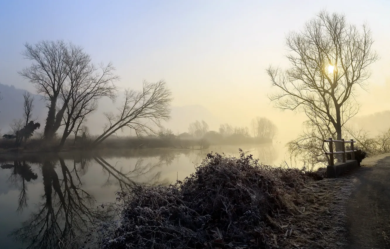 Photo wallpaper frost, nature, fog, river, morning