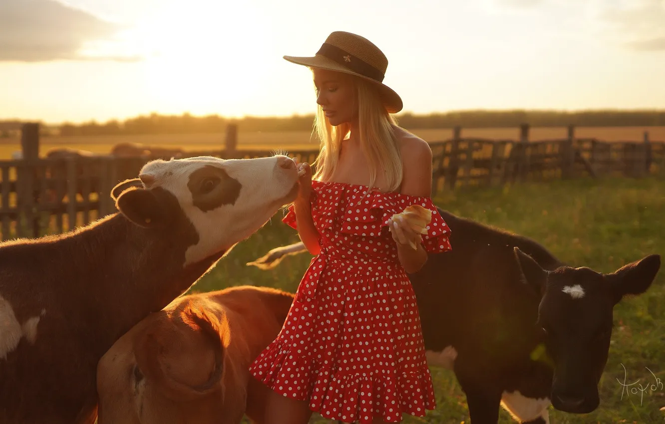 Photo wallpaper field, grass, landscape, nature, pose, model, the fence, portrait