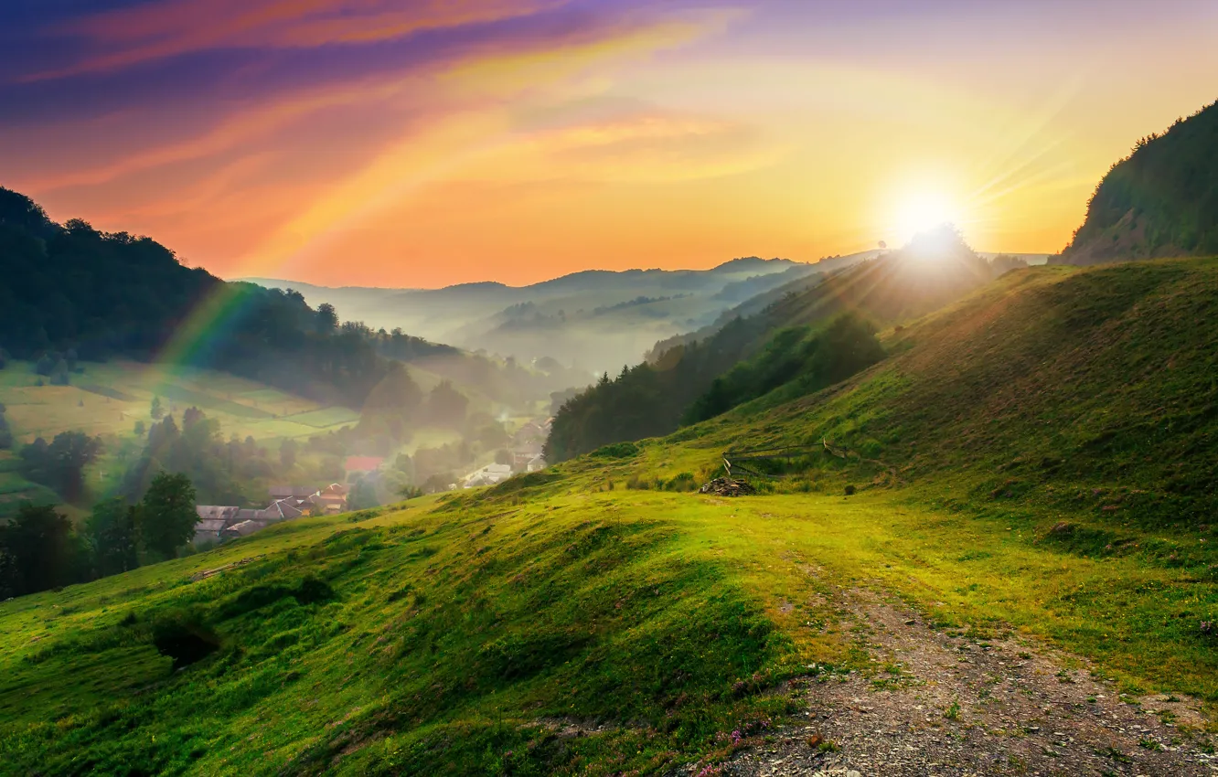 Photo wallpaper trees, mountains, nature, clearing, trees, nature, the sun's rays, mountains