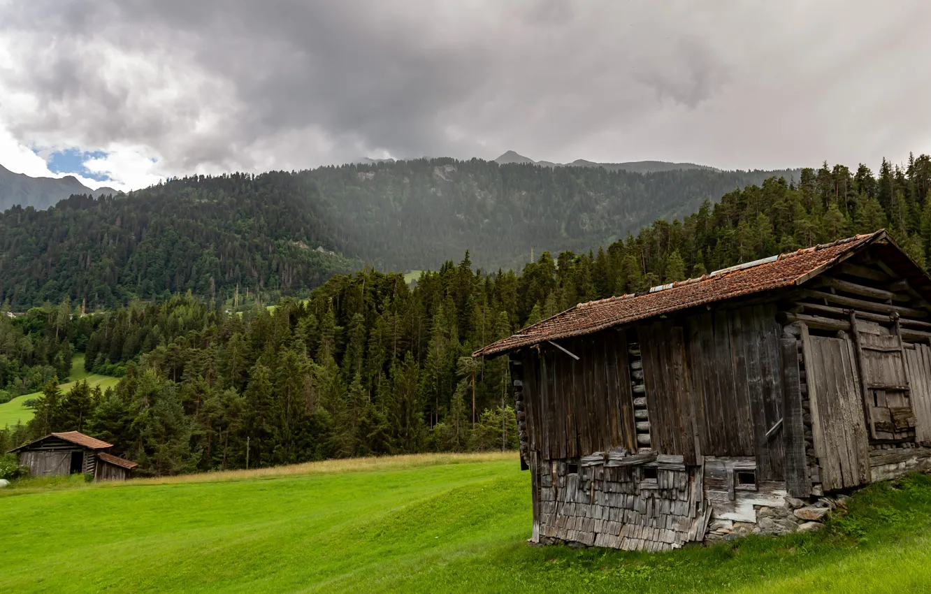 Photo wallpaper forest, Alps, house