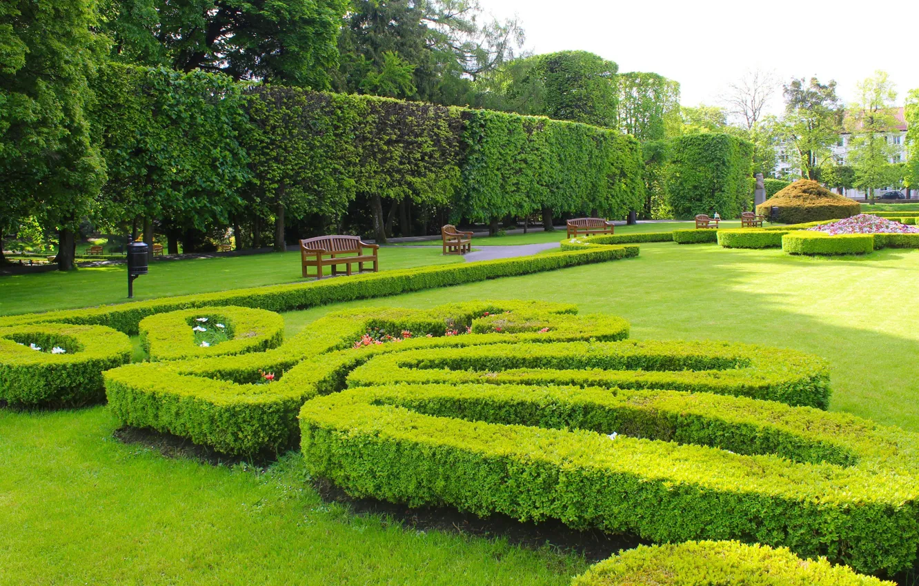 Photo wallpaper green, park, garden