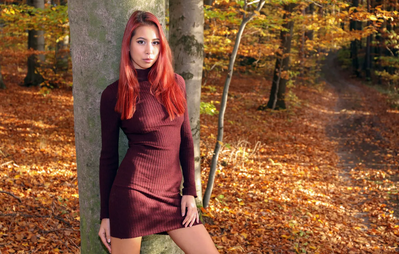 Photo wallpaper forest, long hair, hot girl, trees, nature, model, trail, sexy woman