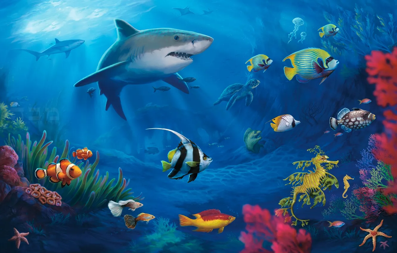 Photo wallpaper fish, turtle, corals, sharks, underwater world, Moray