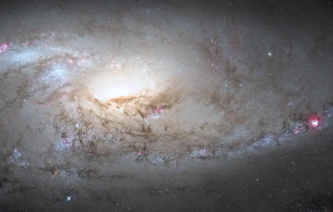 Photo wallpaper space, universe, stars, constellations