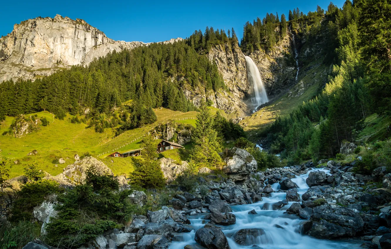 Photo wallpaper forest, mountains, stream, waterfall, Switzerland, Alps, river, Switzerland