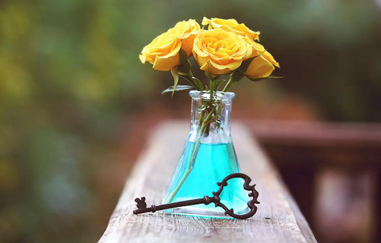 Photo wallpaper key, roses, bottle, yellow roses