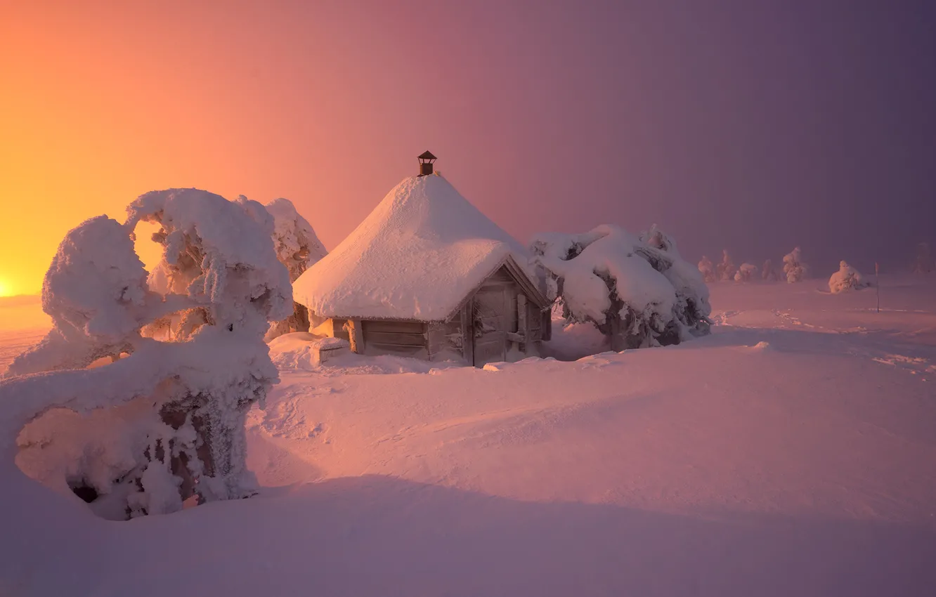 Photo wallpaper winter, snow, trees, landscape, nature, house, twilight, Lapland