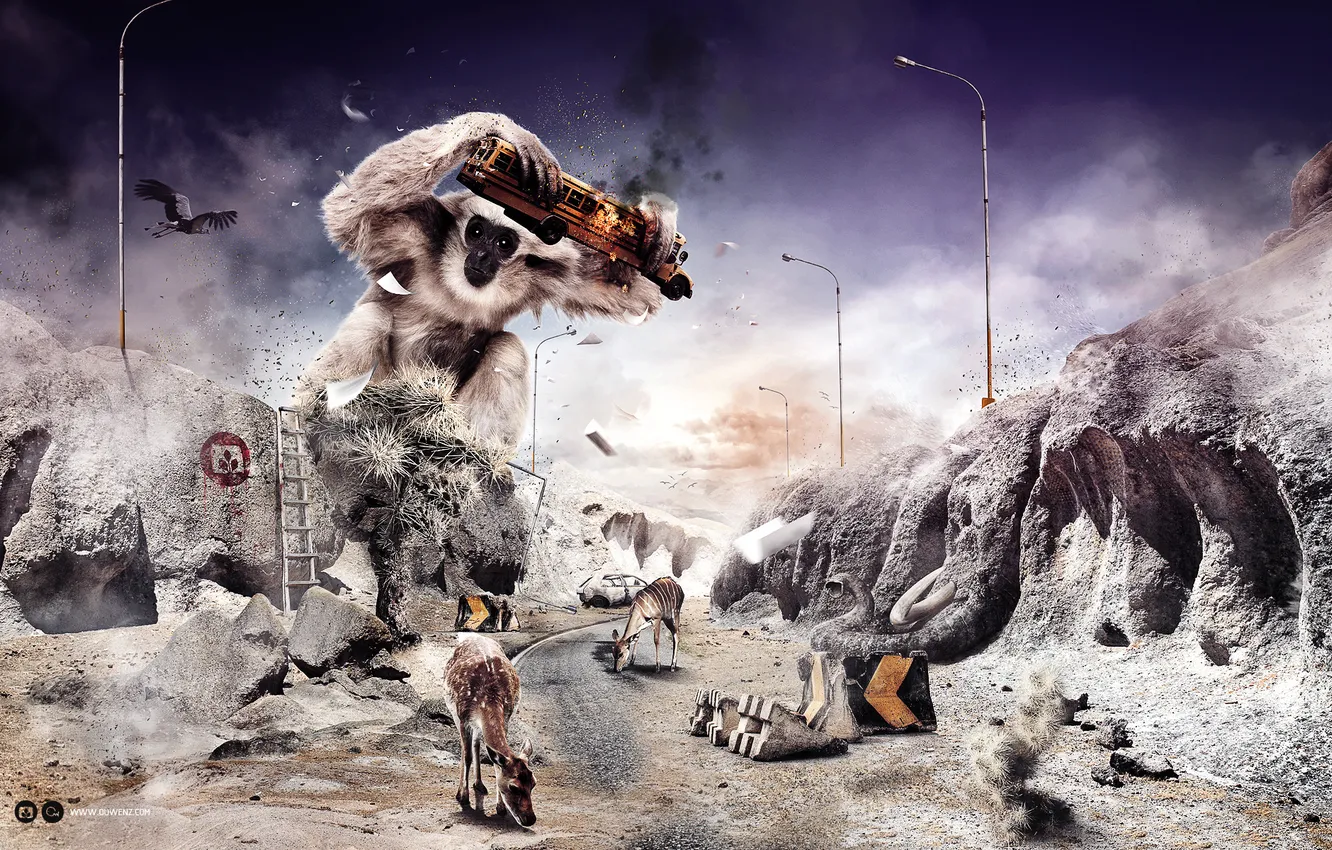 Photo wallpaper animal, bus, spider monkey