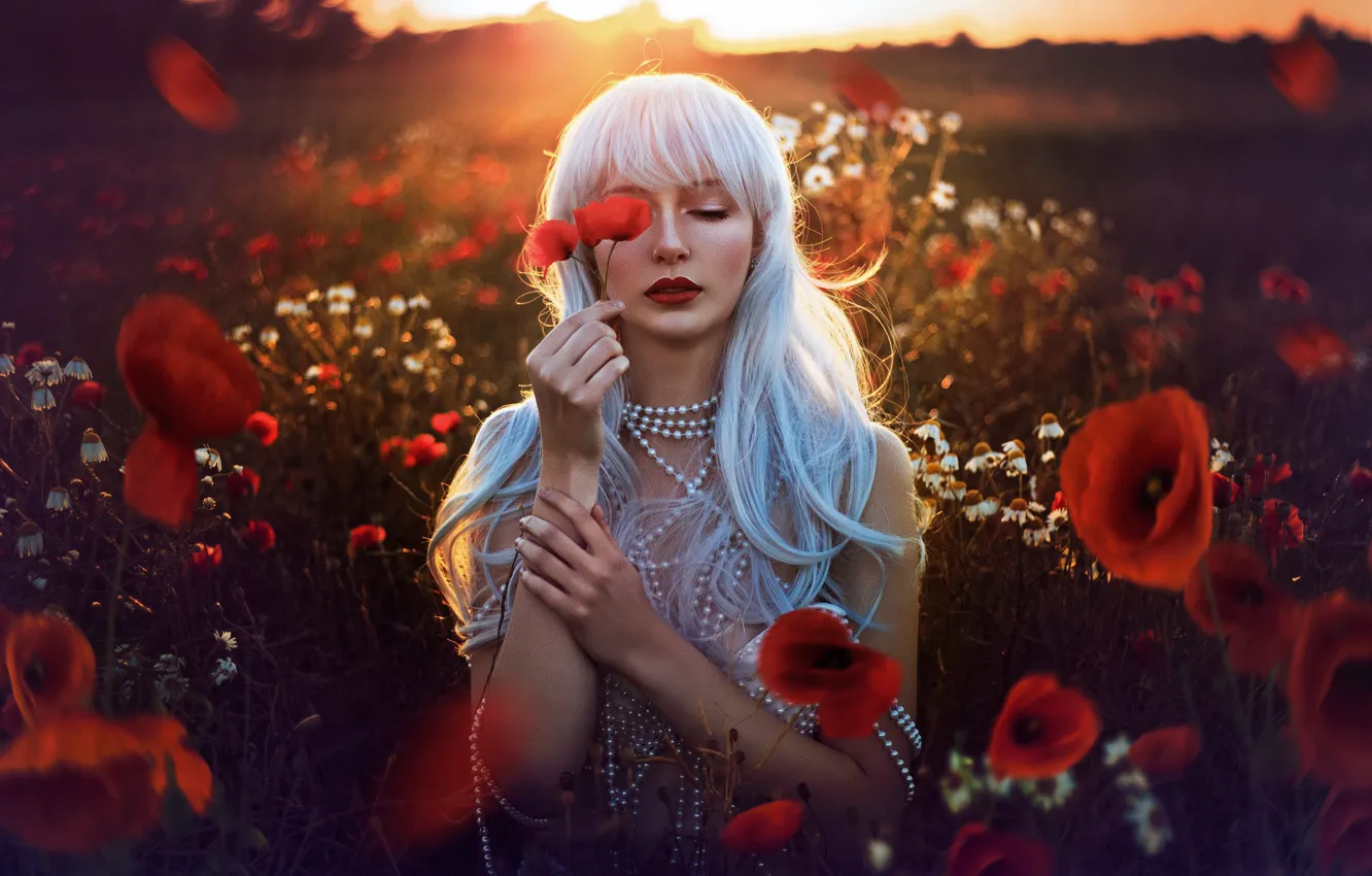Photo wallpaper field, summer, girl, light, sunset, flowers, red, nature
