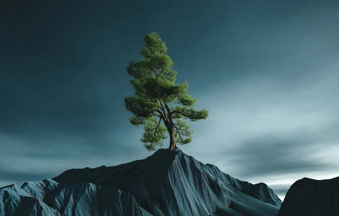 Photo wallpaper trees, landscape, nature, stars, digital art, artwork, digital painting, starred sky