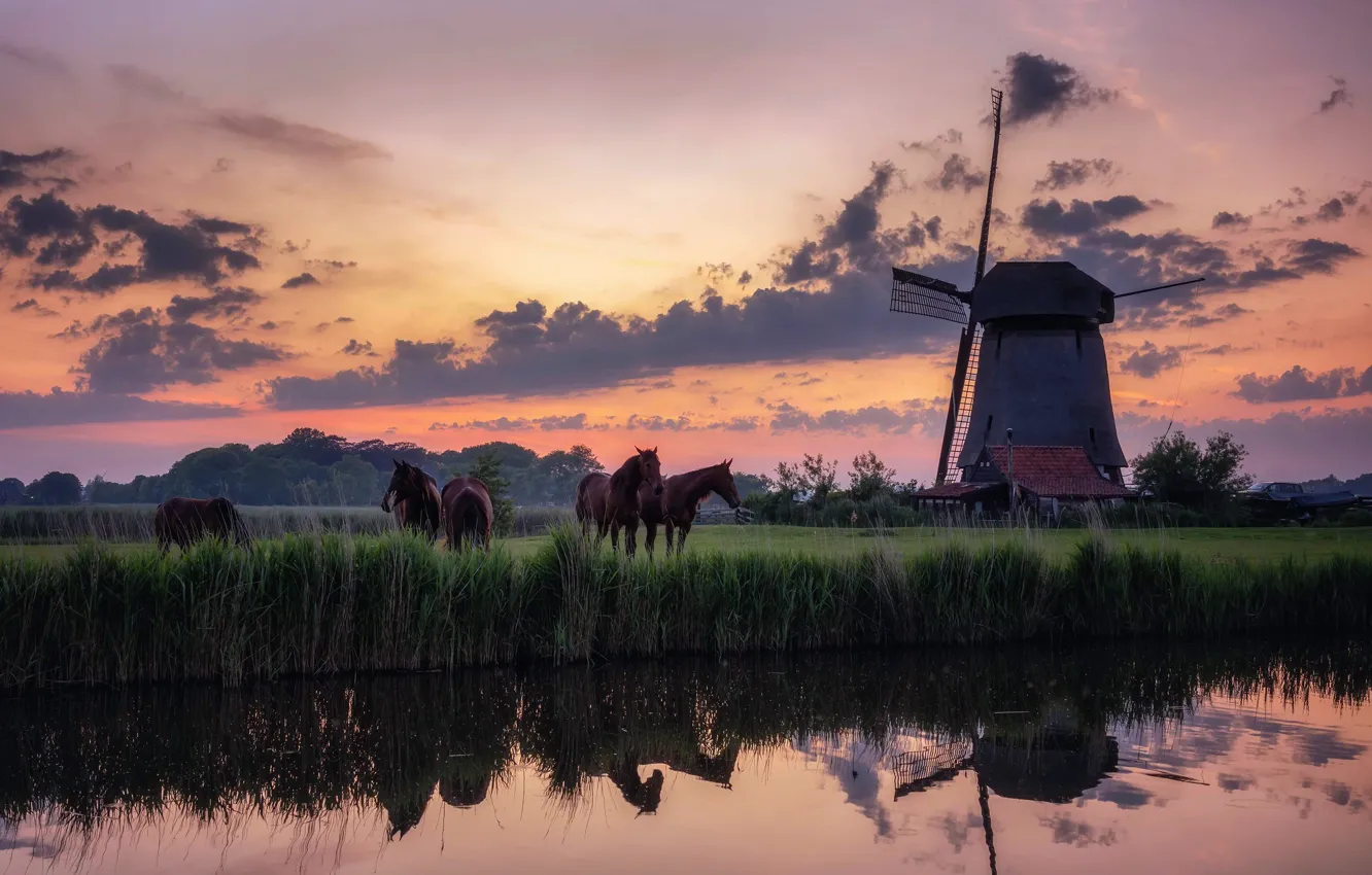 Photo wallpaper Holland, Morning, mist, Traditional Windmill