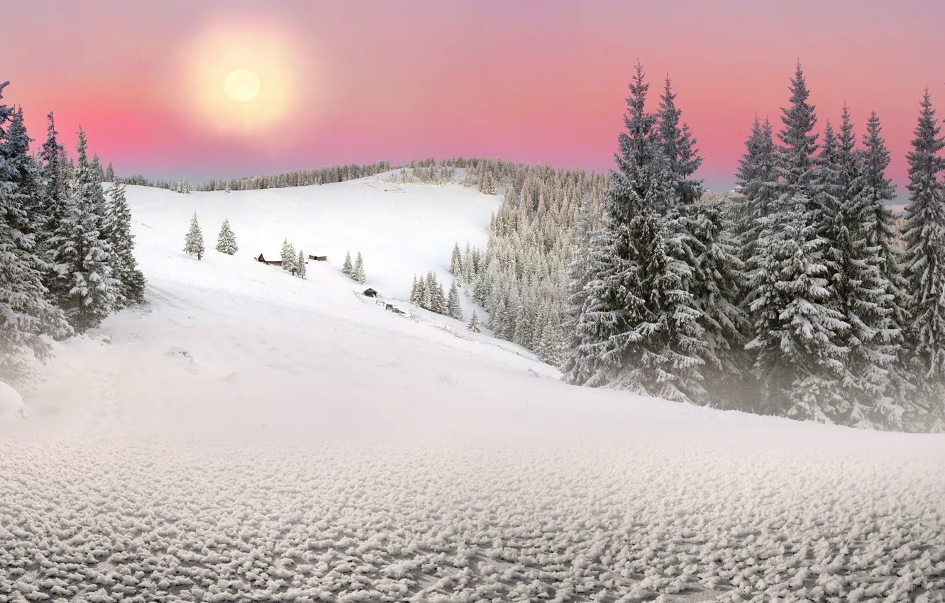 Photo wallpaper The sun, Nature, Winter, Snow, Spruce, Ukraine, Carpathians, Transcarpathia