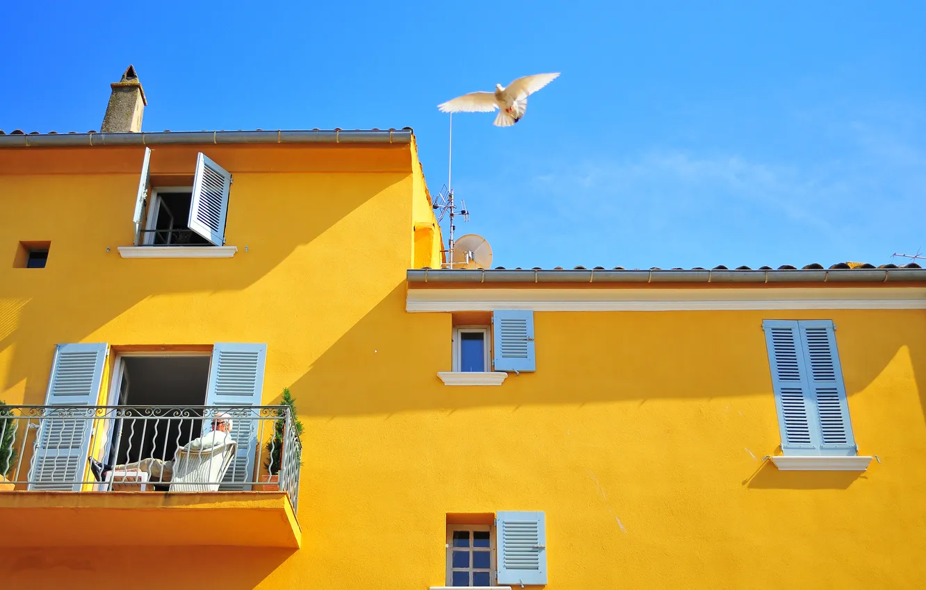 Photo wallpaper the sky, house, bird, Windows, dove, balcony