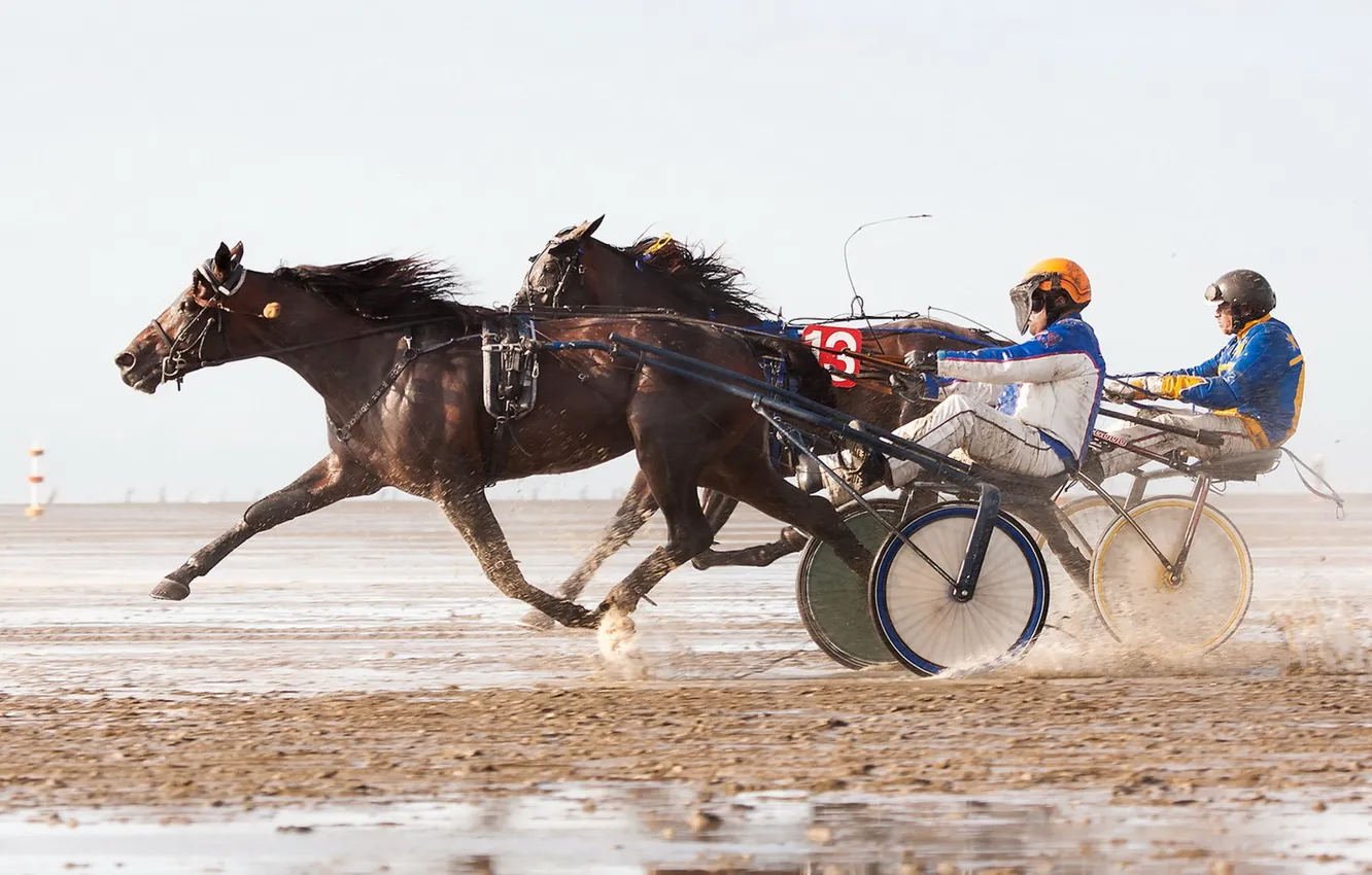 Photo wallpaper race, horses, running