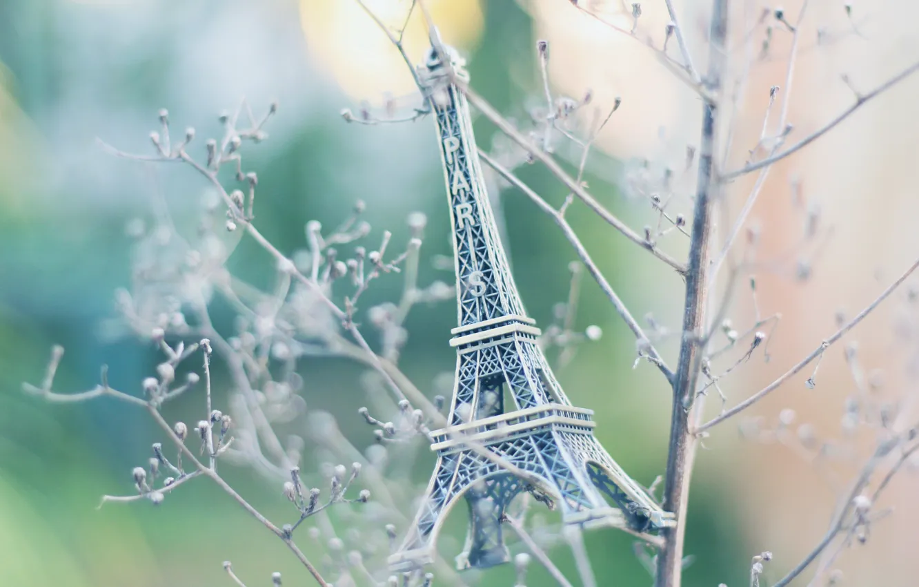 Photo wallpaper branches, Eiffel tower, paris
