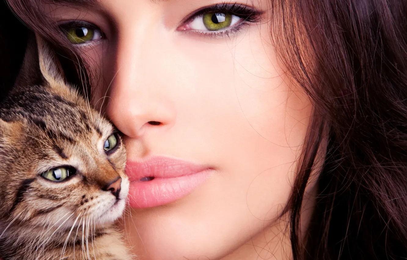 Photo wallpaper cat, look, girl, green-eyed