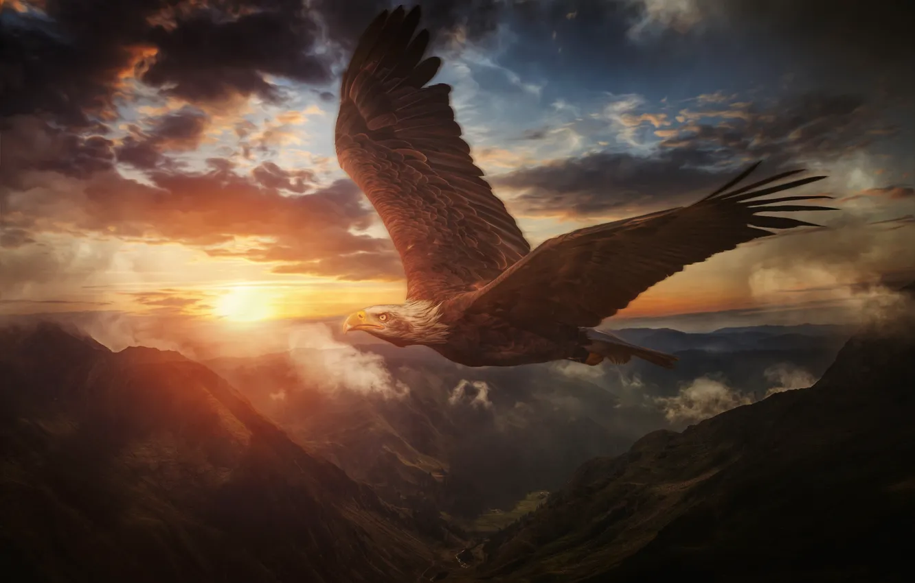 Photo wallpaper the sky, sunset, mountains, bird, wings, flight, Bald eagle