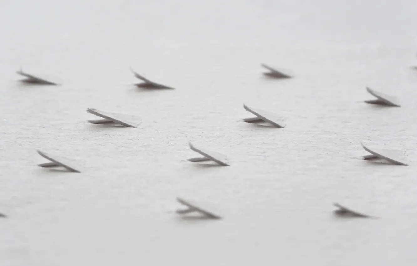 Photo wallpaper macro, paper, background