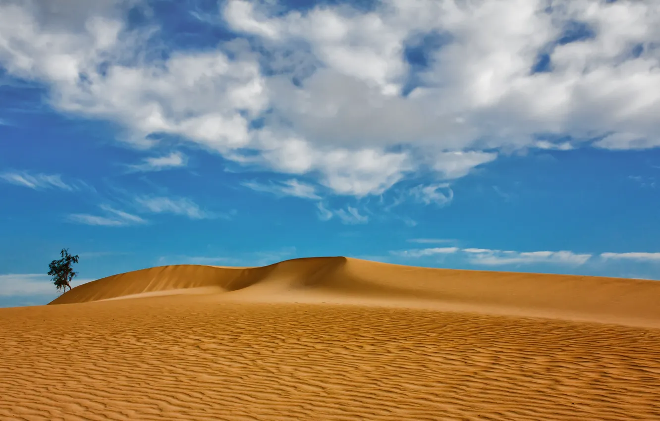 Photo wallpaper sand, clouds, tree, dunes, Spain, Spain, Canary Islands, Canary Islands