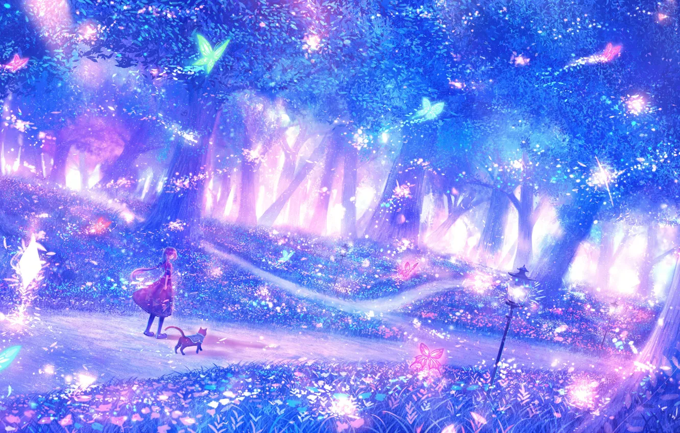 Photo wallpaper forest, girl, fantasy, fairy forest