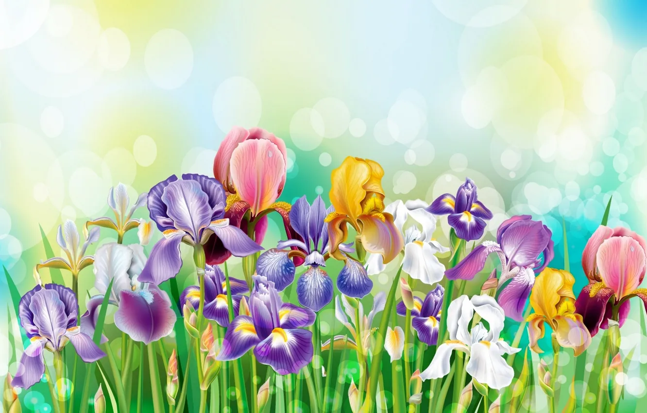 Photo wallpaper flowers, bouquet, irises