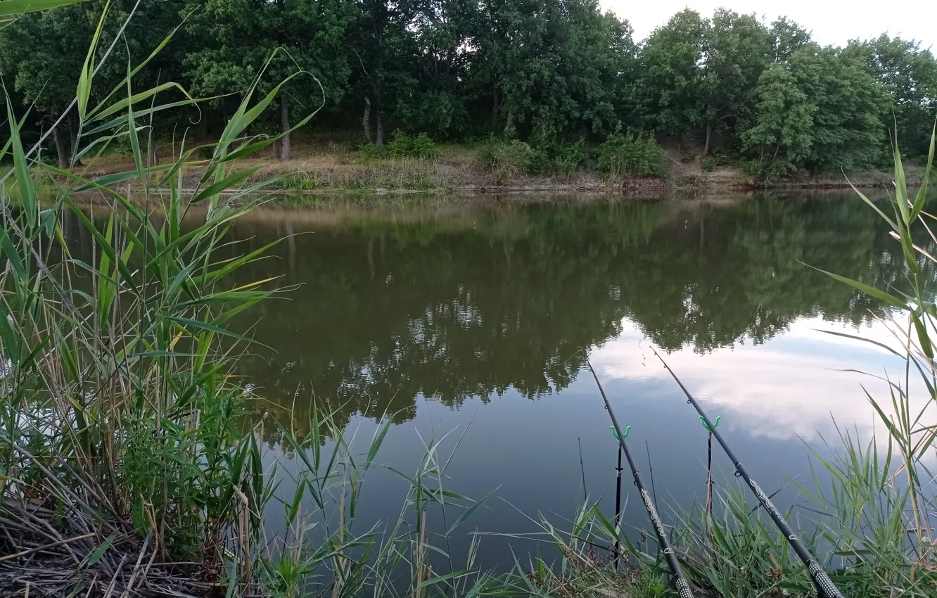 Photo wallpaper summer, lake, fishing, morning, float, July