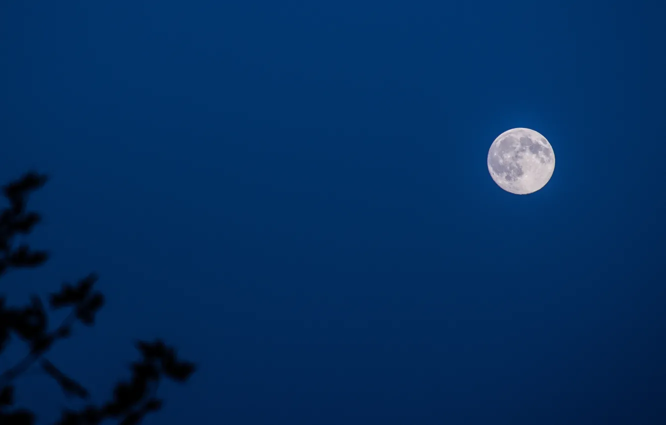 Photo wallpaper the sky, nature, the moon, the full moon