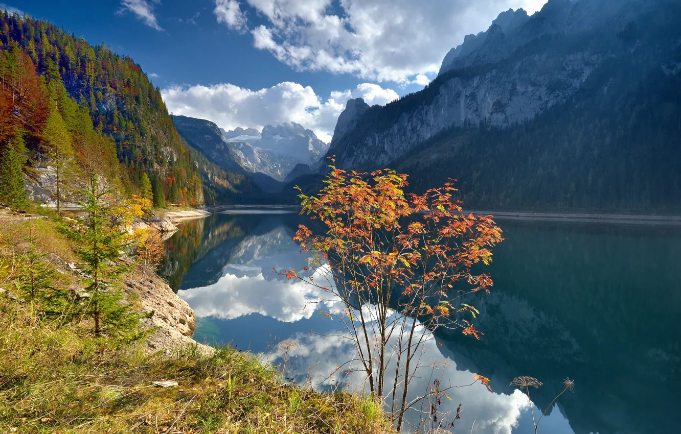 Photo wallpaper autumn, forest, clouds, trees, landscape, mountains, nature, lake