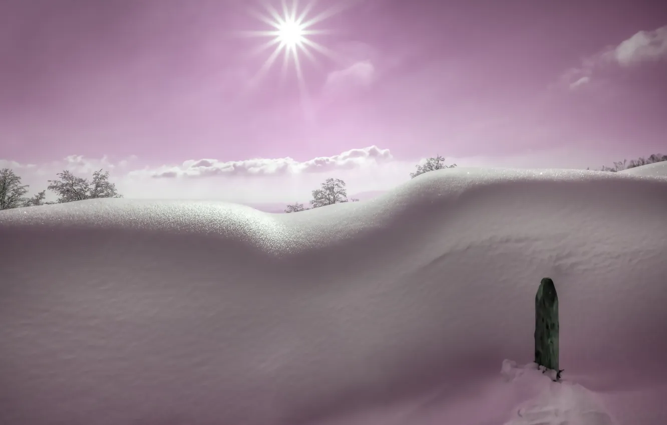 Photo wallpaper winter, snow, nature