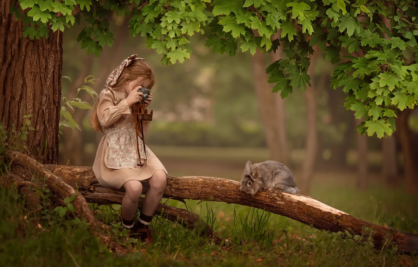 Photo wallpaper rabbit, the camera, girl, log, Bunny