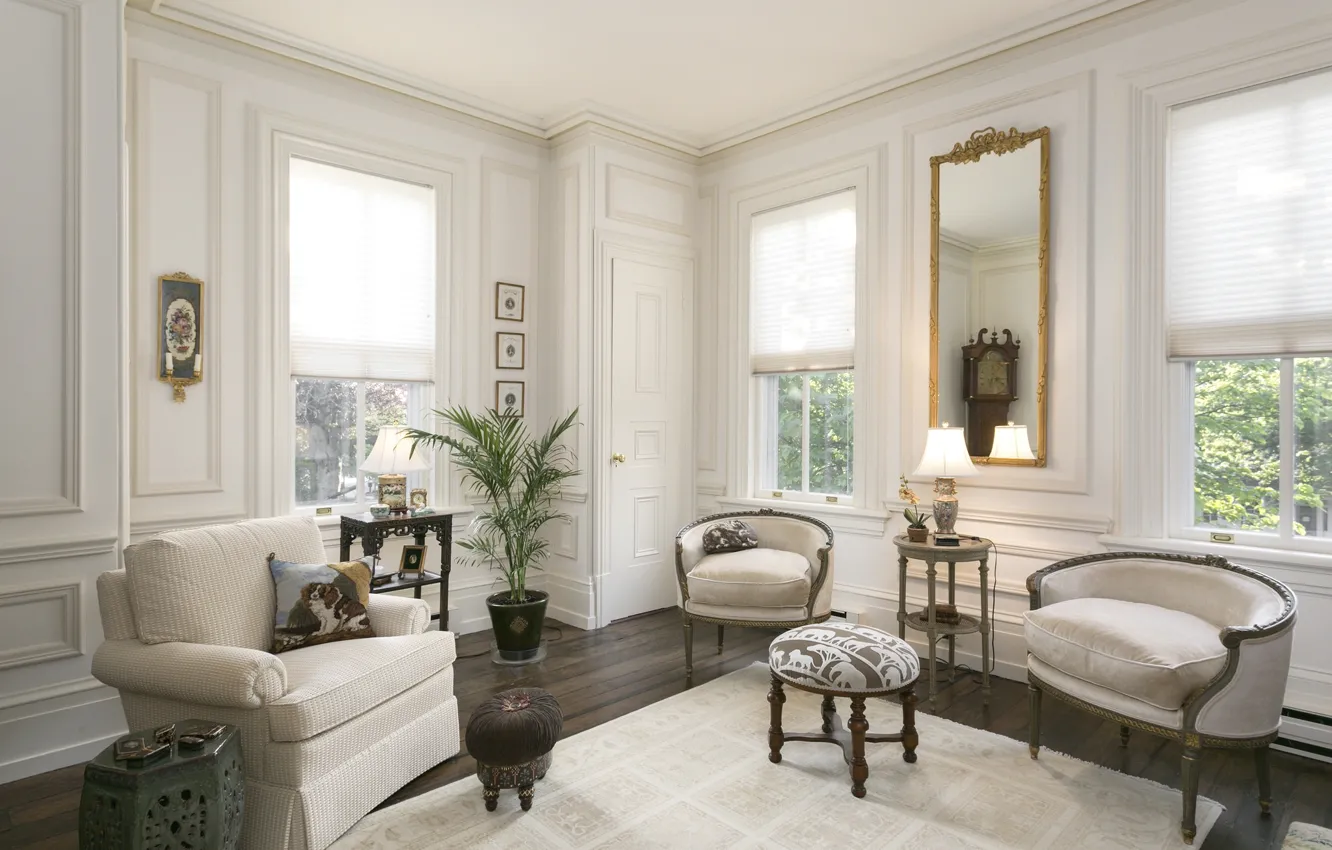 Photo wallpaper style, sofa, chair, mirror, pot, living room