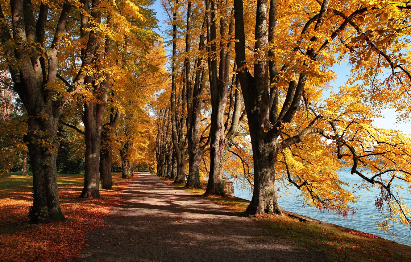 Photo wallpaper autumn, leaves, lake, Park