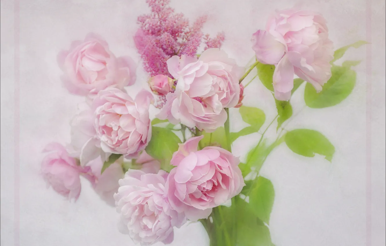 Photo wallpaper pink, roses, Spiraea