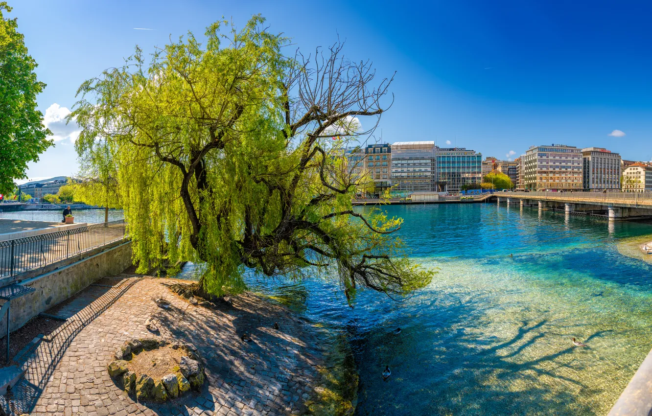 Photo wallpaper Home, Switzerland, Promenade, River