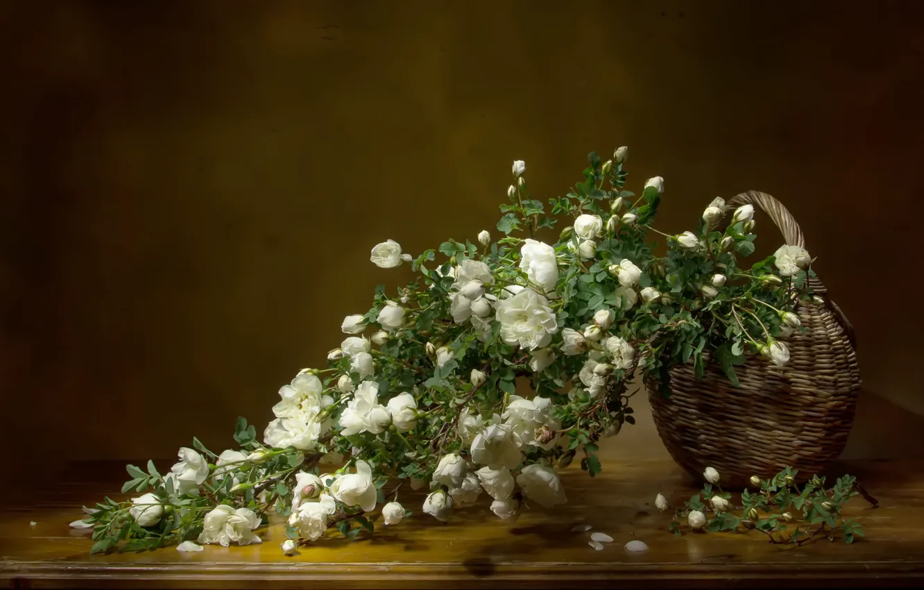 Photo wallpaper white, background, briar, basket, Tatiana Fedenkova