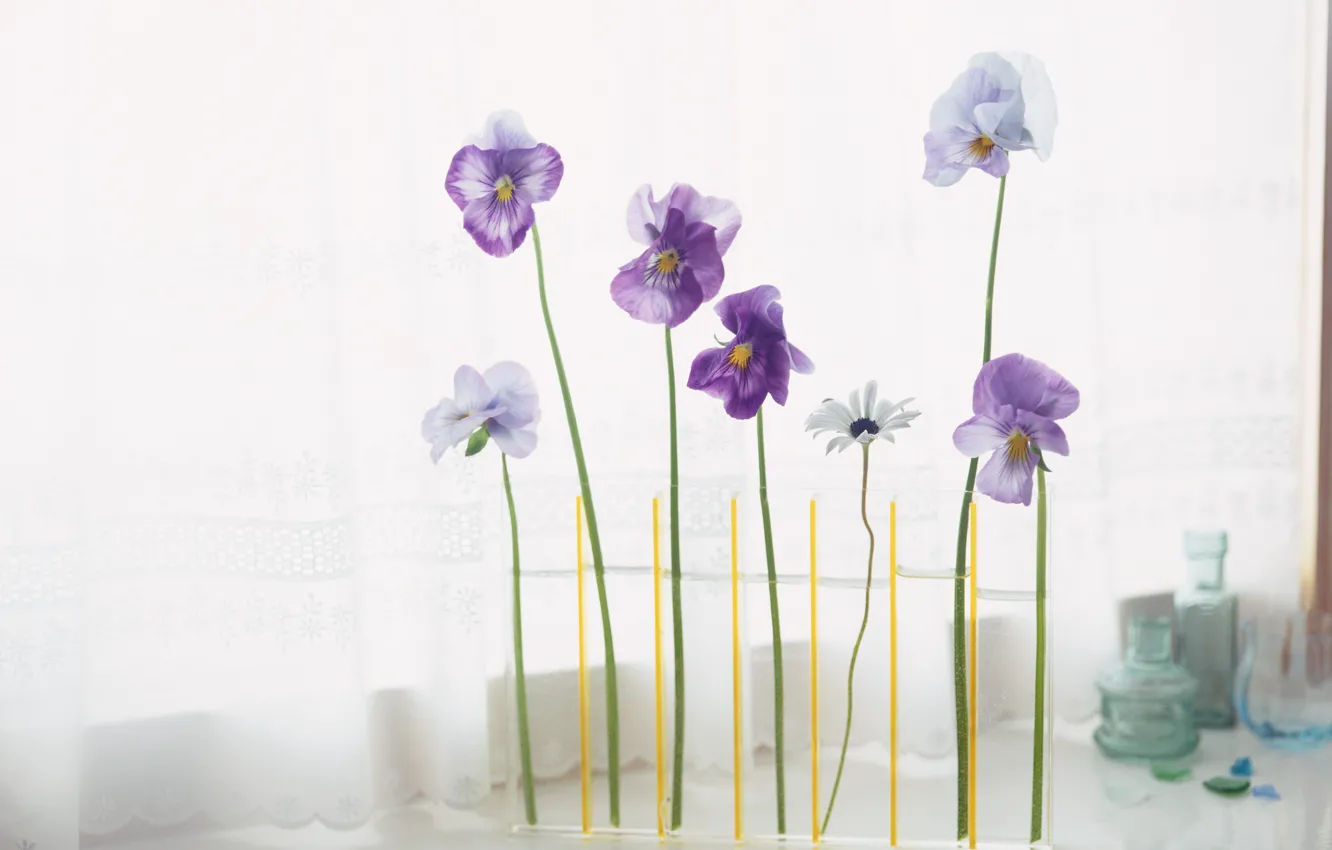 Photo wallpaper flowers, flowers in a vase, floral arrangement