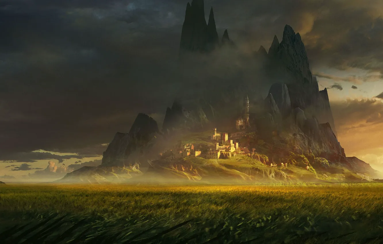 Photo wallpaper field, Eduardo Pena, The fields