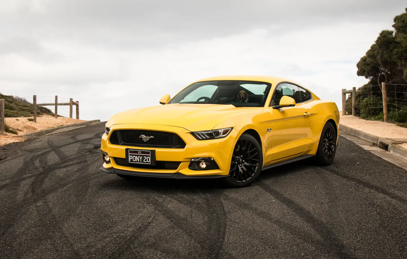 Photo wallpaper yellow, Mustang, Ford, Mustang, Ford