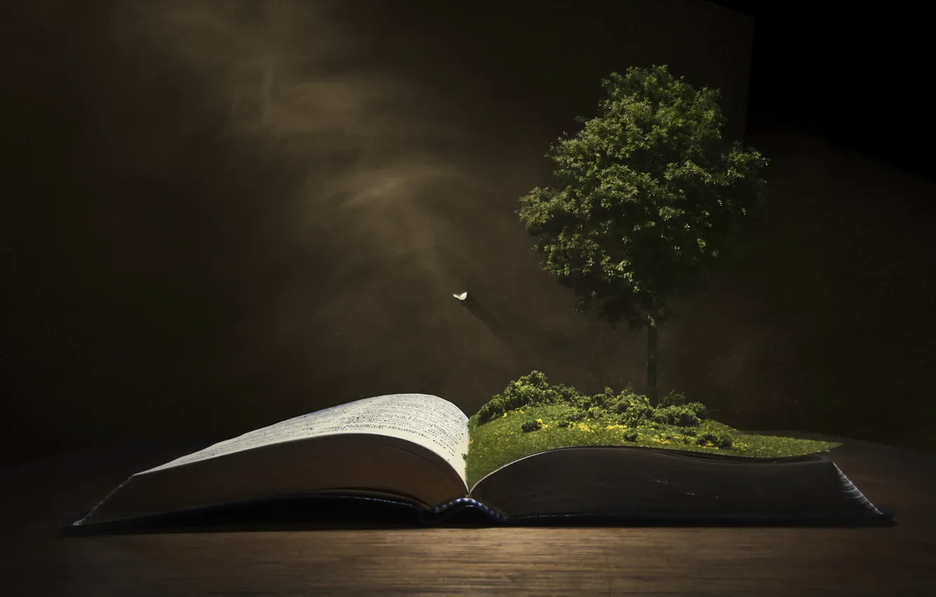 Photo wallpaper background, tree, book