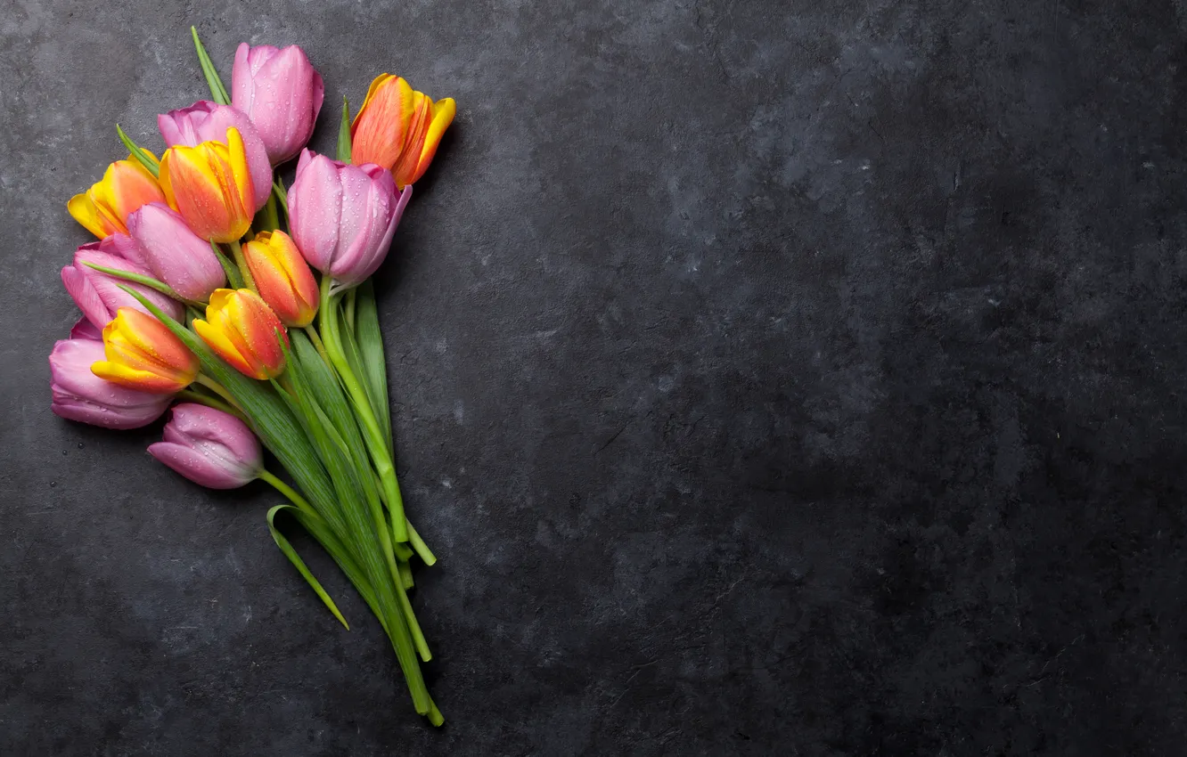 Photo wallpaper flowers, bouquet, colorful, tulips, pink, flowers, tulips, spring