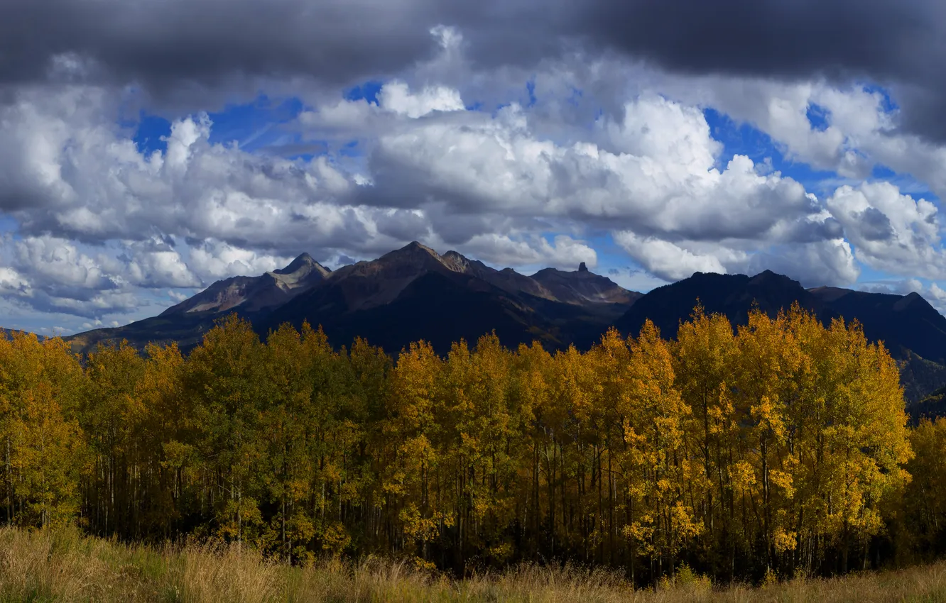 Photo wallpaper autumn, forest, clouds, mountains, blue
