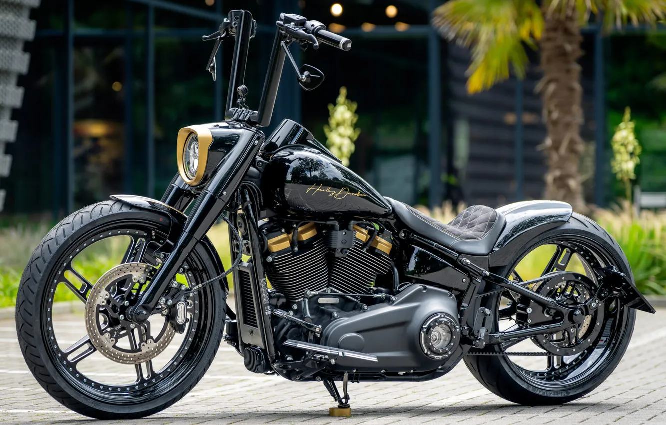 Photo wallpaper Front, Harley-Davidson, Tuning, Softail, Customized, Fat Boy, Thunderbike, Custombikes