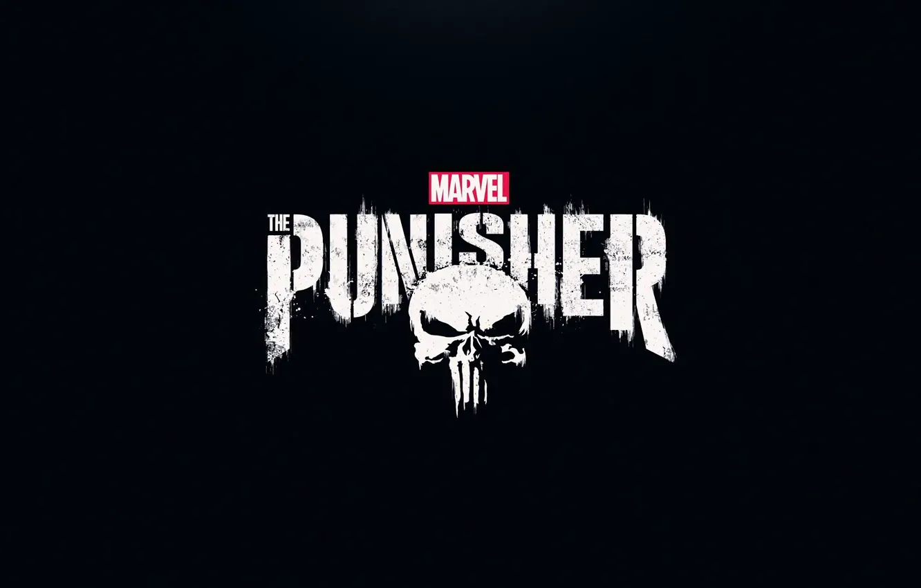 Photo wallpaper cinema, sake, logo, Marvel, movie, assassin, film, The Punisher