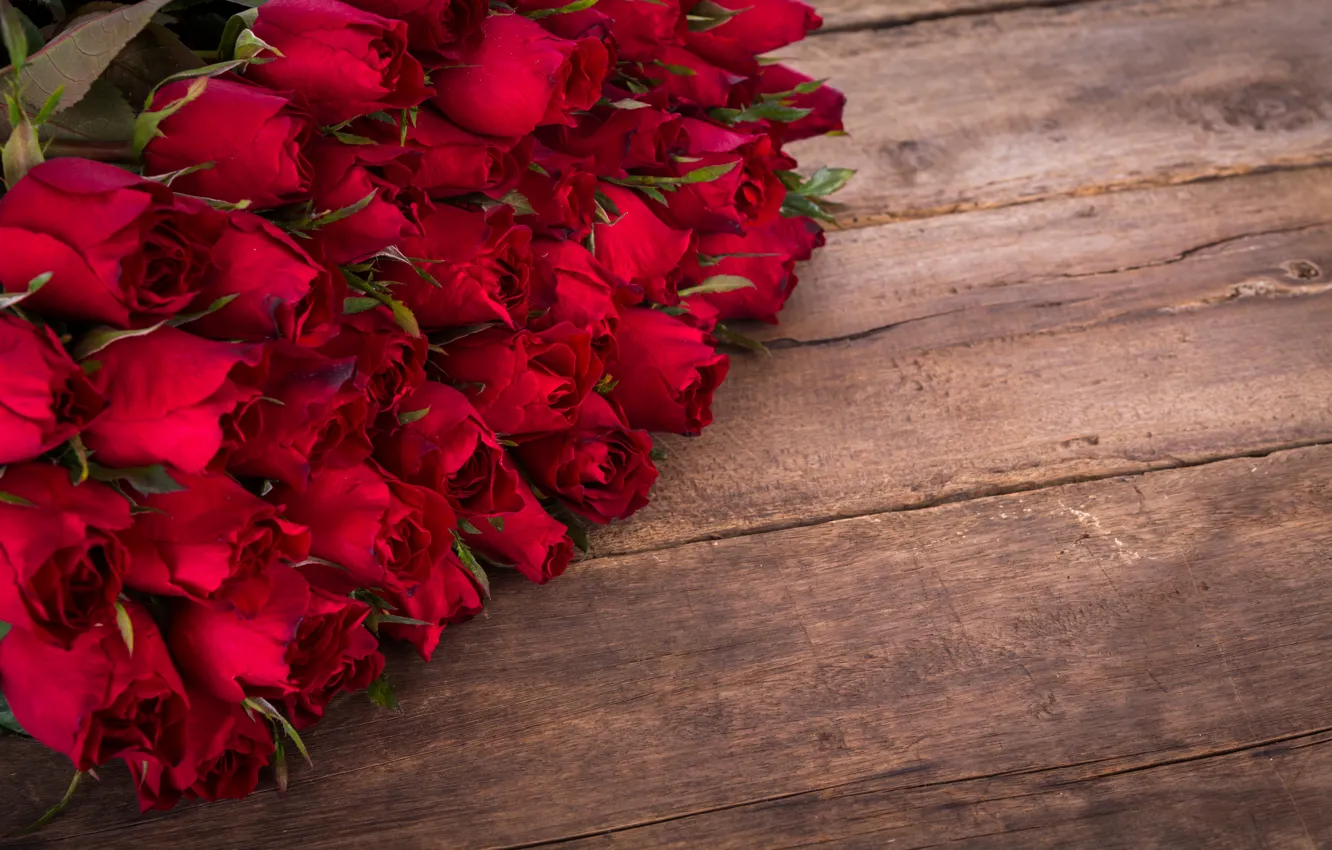 Photo wallpaper roses, bouquet, red, wood, romantic, roses