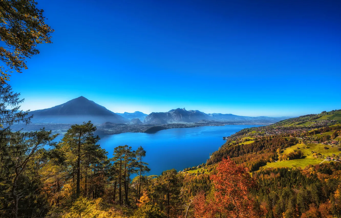 Photo wallpaper field, autumn, forest, the sky, the sun, trees, mountains, lake