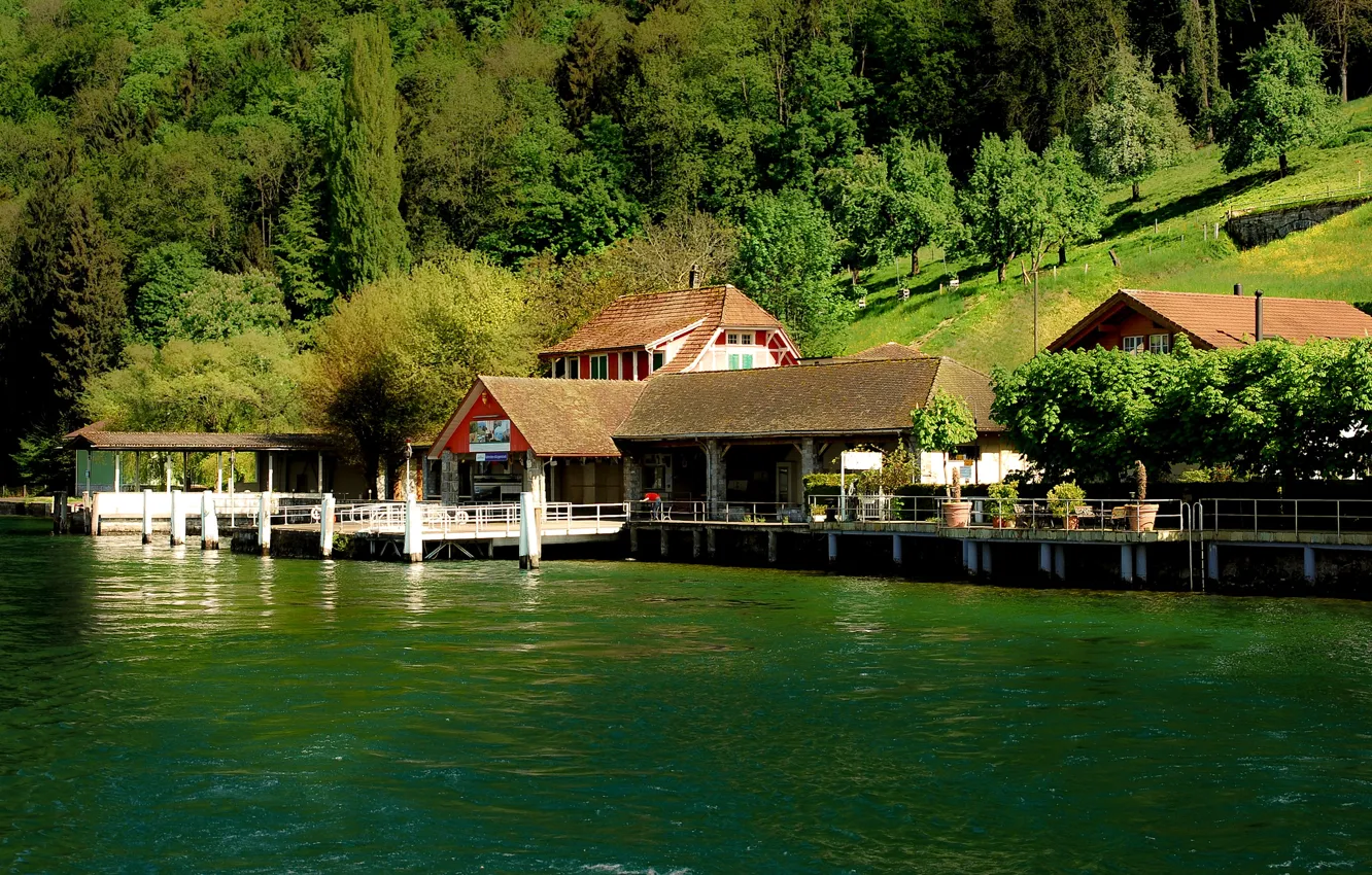 Photo wallpaper trees, lake, shore, Switzerland, pier, slope, houses, Lucerne